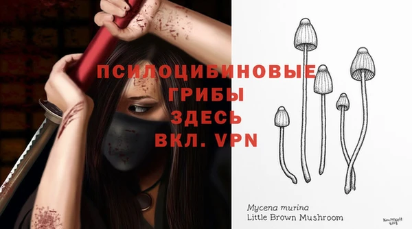 каннабис Няндома