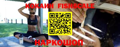 прущие крисы Гатчина