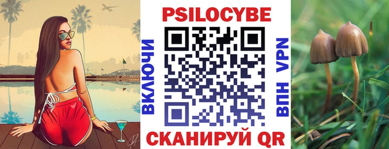 Псилоцибиновые грибы GOLDEN TEACHER  shop как зайти  Губкинский  купить  цена 