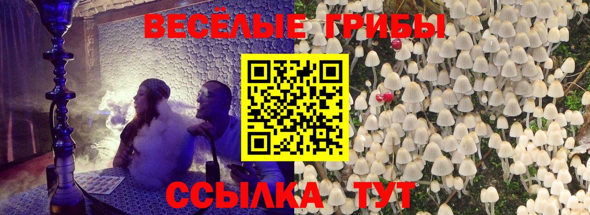 Псилоцибиновые грибы ЛСД Губкинский