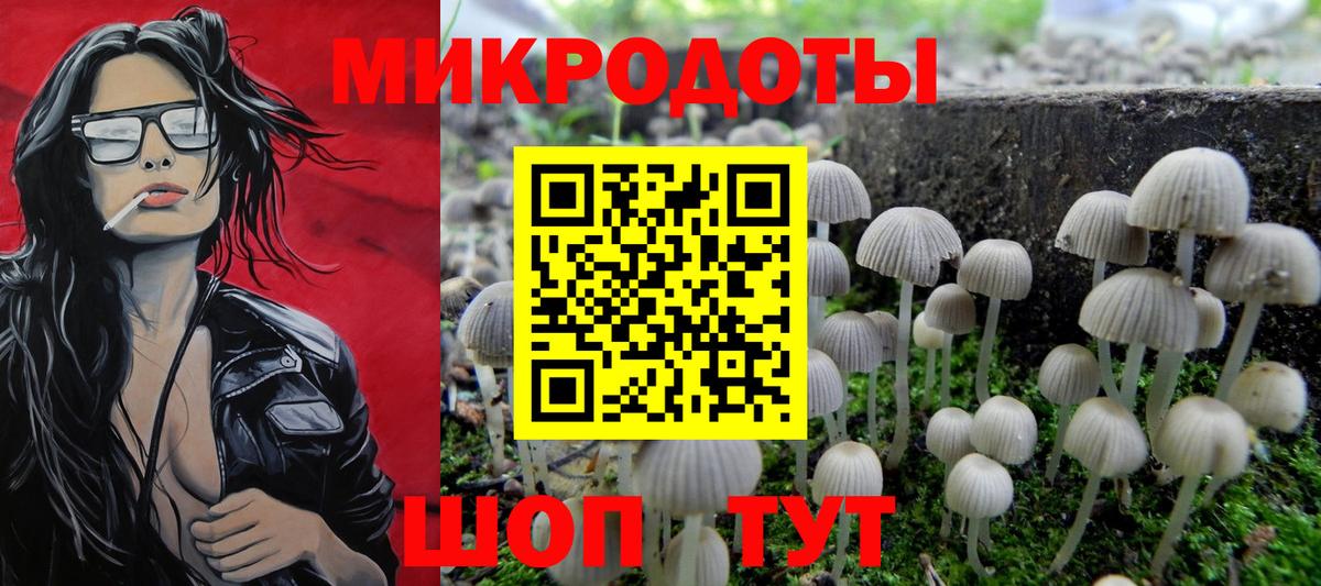 Галлюциногенные грибы MAGIC MUSHROOMS  купить закладку  Губкинский 