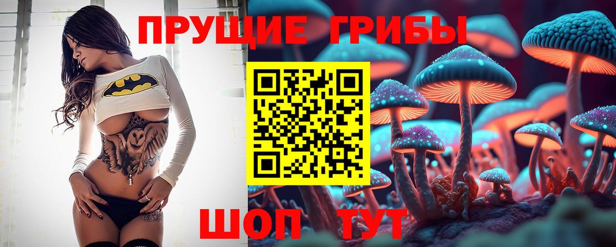 Галлюциногенные грибы Psilocybine cubensis  Вход с VPN  Губкинский  Галлюциногенные грибы Psilocybine cubensis 