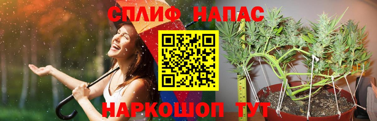 Марихуана гибрид  Канабис Amnesia  Губкинский  Канабис ГИДРОПОН 